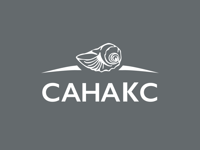 Интернет-магазин для «Санакс» Интернет-магазин для «Санакс»