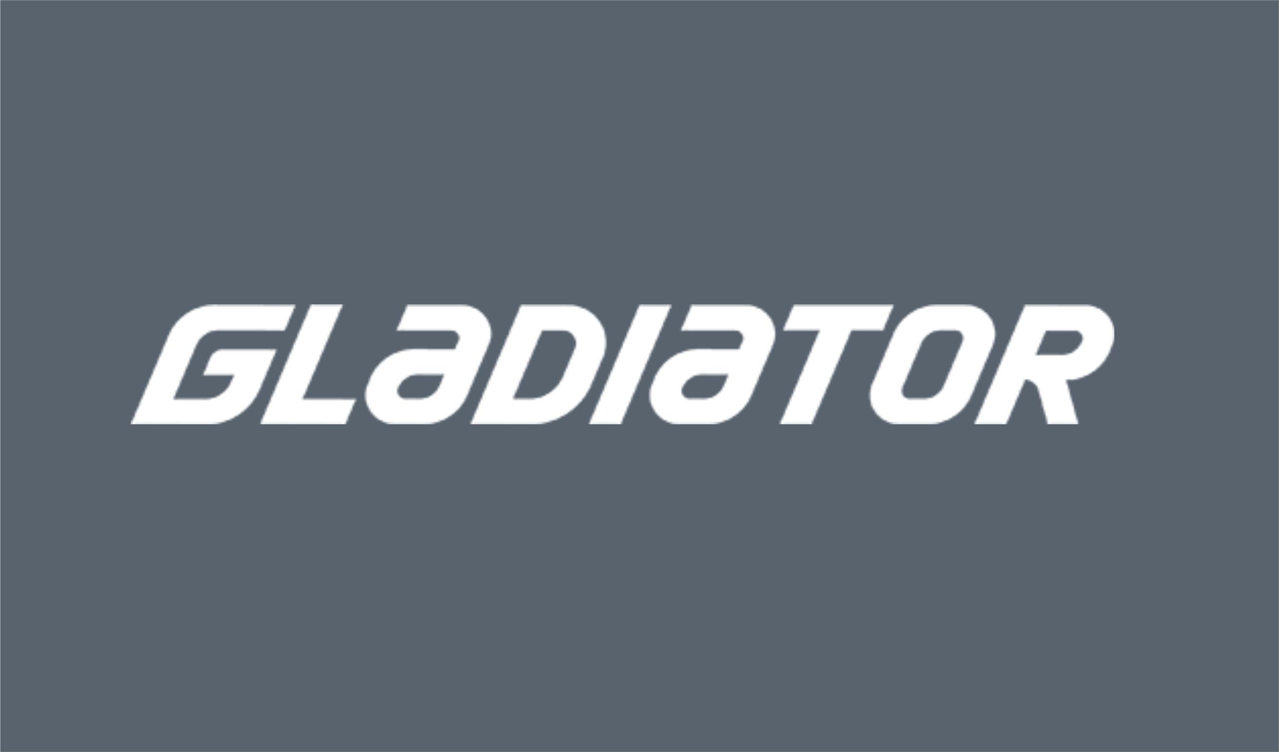 Сайт с каталогом для компании Gladiator SUP Сайт с каталогом для компании Gladiator SUP